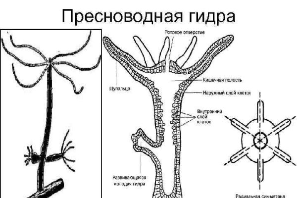 Kraken зеркало официальный