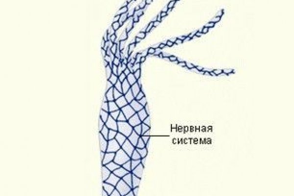 Магазин kraken даркнет